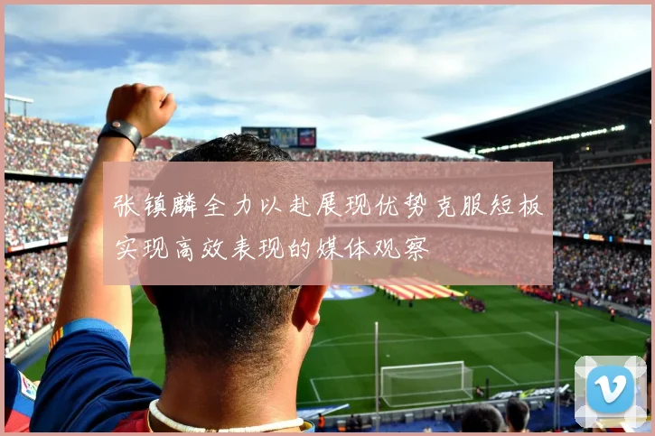 张镇麟全力以赴展现优势克服短板实现高效表现的媒体观察